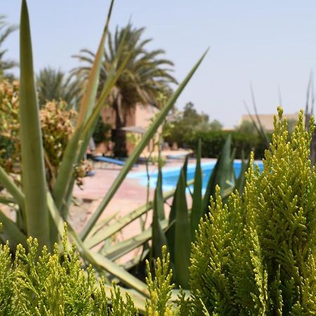 Bed and Breakfast Maison d'hotes la tour de toile à Taroudant Extérieur photo